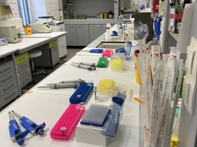 Vše je připravené - můžete přijít